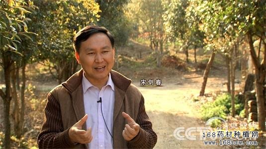 “葛疯子”刨根刨出亿万财