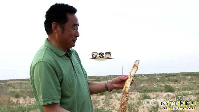 在沙漠里找“最”的人