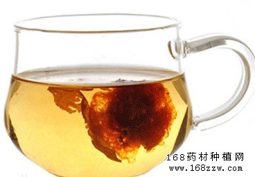 胖大海真假鉴别
