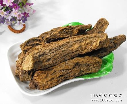 中药材锁阳图片