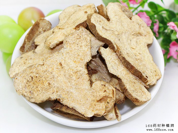 中药材白术图片
