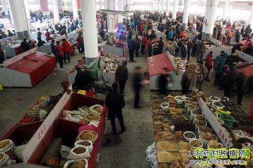 10月28日药材市场中药材价格行情