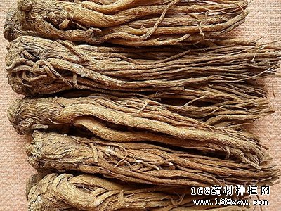 当归功效