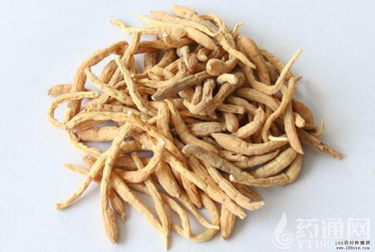 太子参价格