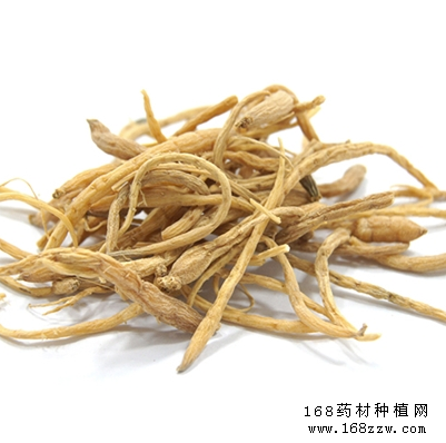 太子参价格走势:太子参产新临近话后市