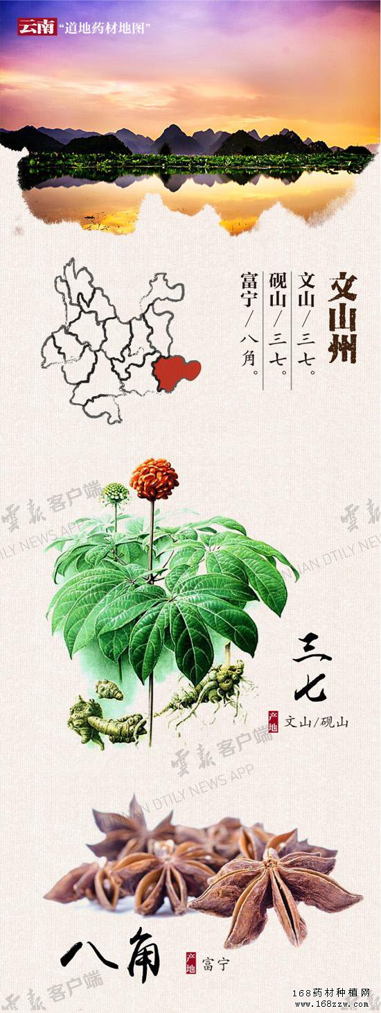 云南16州市药材地图出炉 你的家乡哪种药材上榜