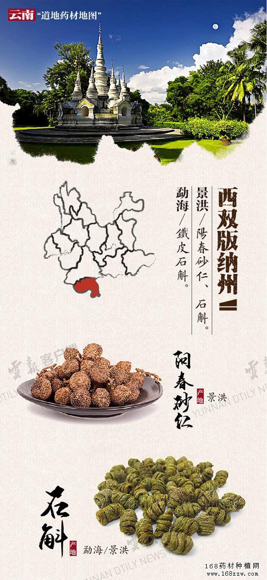 云南16州市药材地图出炉 你的家乡哪种药材上榜