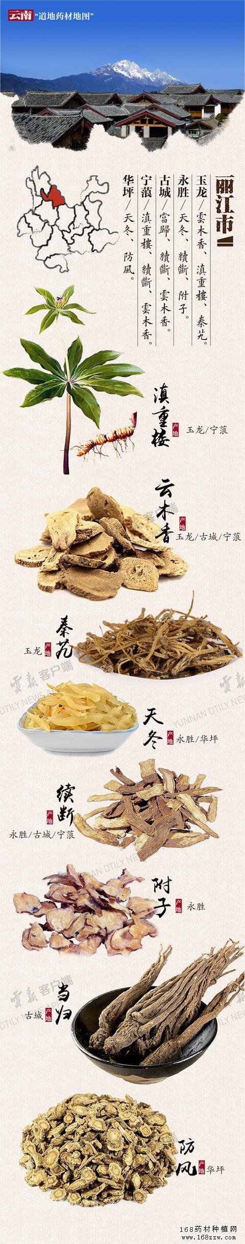 云南16州市药材地图出炉 你的家乡哪种药材上榜