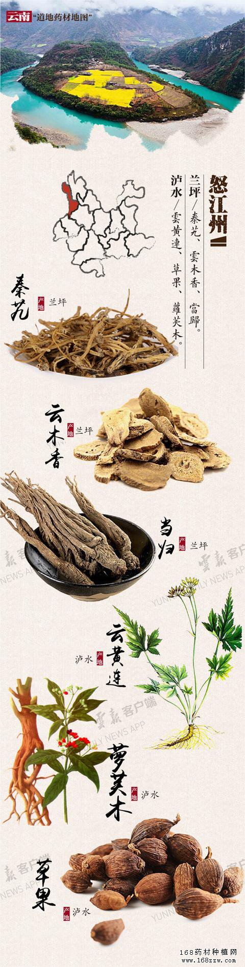 云南16州市药材地图出炉 你的家乡哪种药材上榜