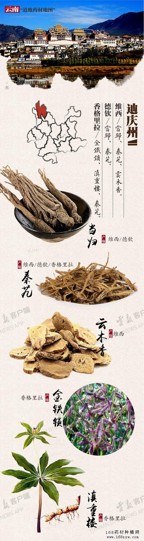 云南16州市药材地图出炉 你的家乡哪种药材上榜