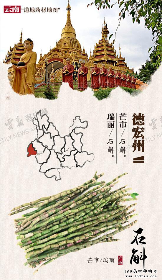 云南16州市药材地图出炉 你的家乡哪种药材上榜