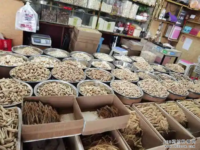 成都药材市场最新中药材价格行情