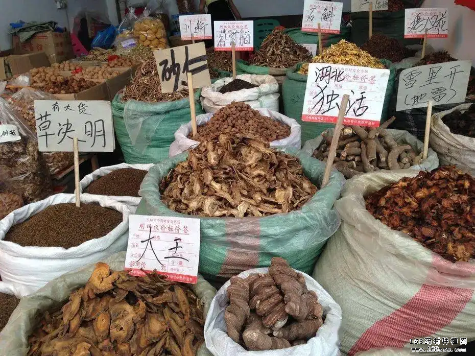 广西玉林药材市场中药材价格行情