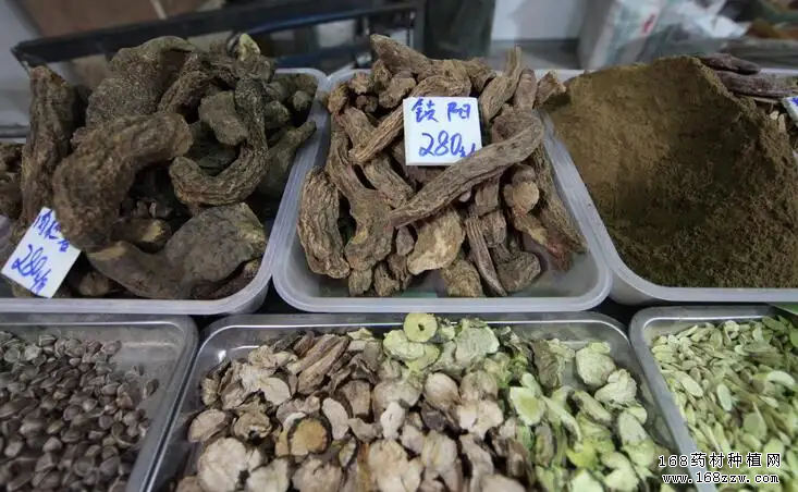 亳州药材市场最新中药材价格行情