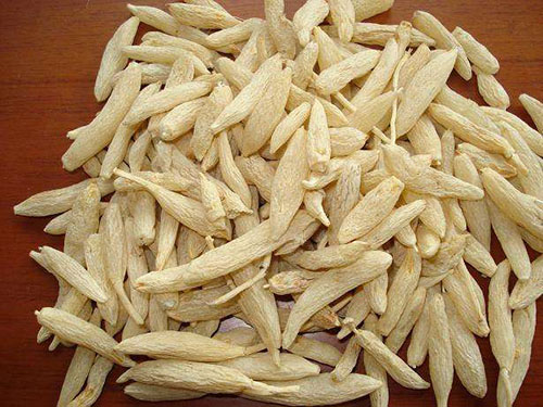麦冬价格