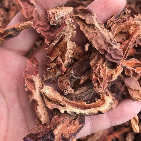 云南巍山县木瓜走动一般,现统货售价在8元上下。